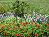 Tail of he Dragon July 2015 578 : Tail of he Dragon July 2015